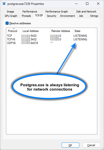 postgres.exe network connections (click to enlarge) postgres.exe network connections