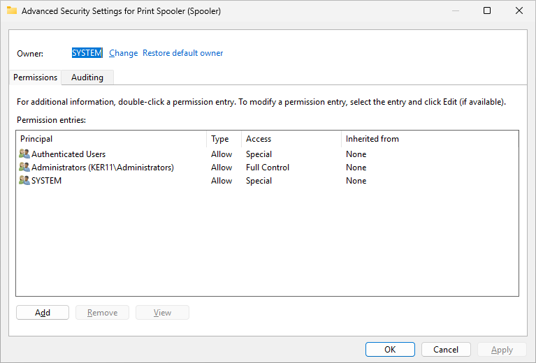 Print Spooler Windows Service advanced security settings (click to enlarge) Print Spooler Windows Service advanced security settings