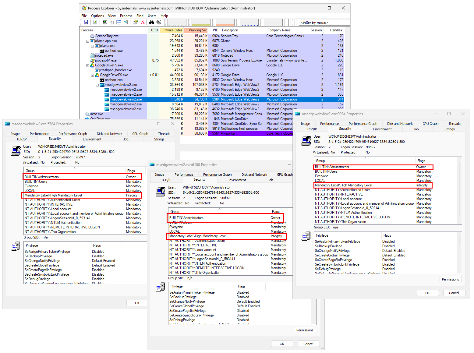 WebView2 processes started with admin rights (click to enlarge) WebView2 processes started with admin rights